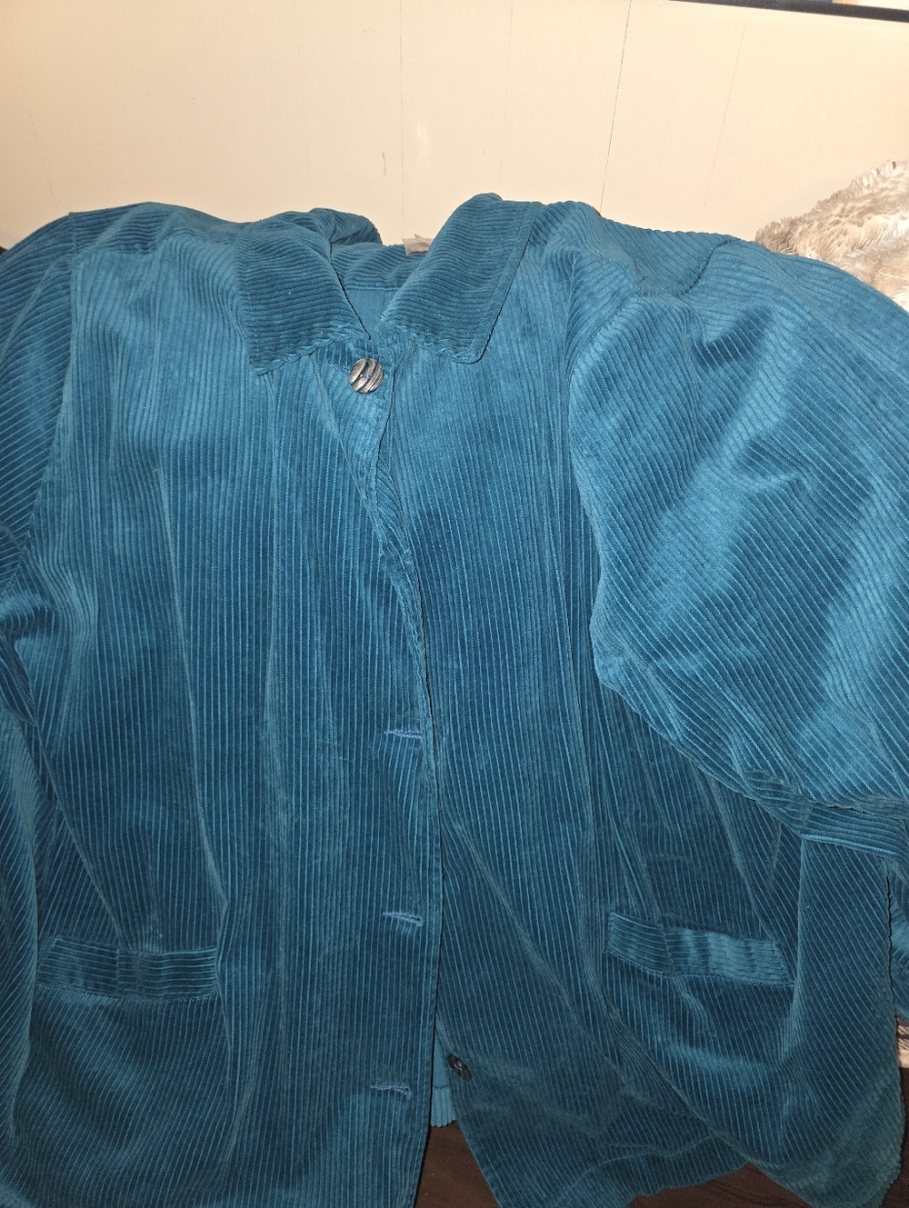 Woman Within Teal Corduroy Jacket